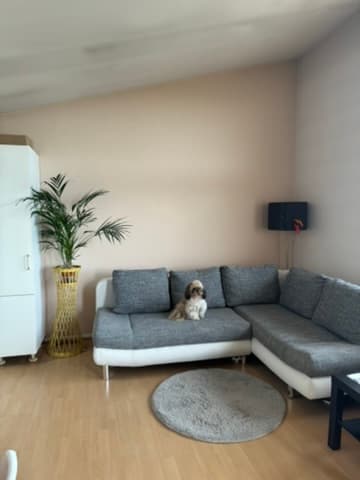 Modern apartment with balcony near Berlin in Berlin - photo 2